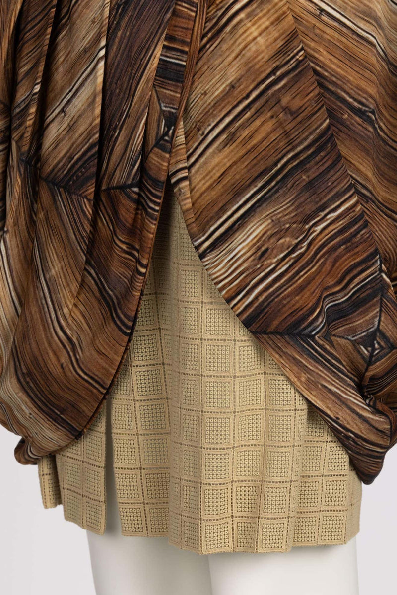 Rodarte 2011 Runway Embroidered Tulle Wood Dress